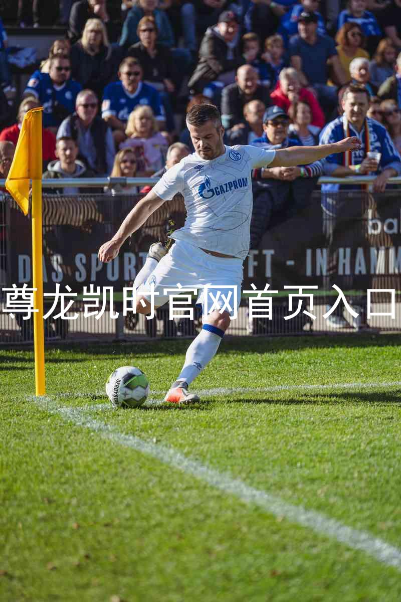 尊龙凯时官网首页入口